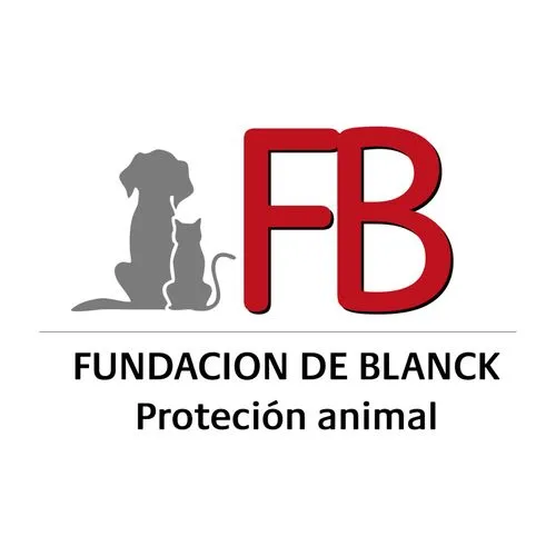 Fundacion 4